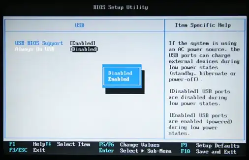 BIOS Screen