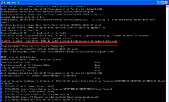 Screenshot of boot process