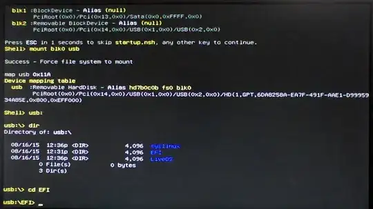 UEFI shell boot: Follow the white rabbit #2