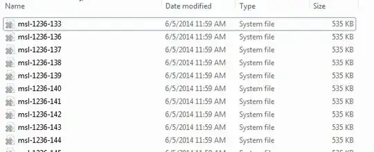 picture of files as seen in Windows Explorer