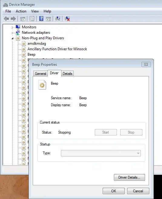 device manager screenshot
