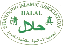 Islamic Logo