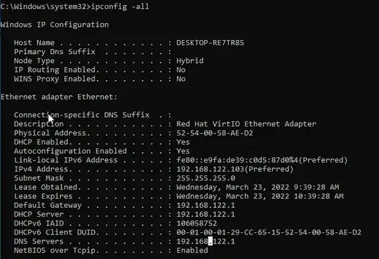 Screenshot of guest ipconfig