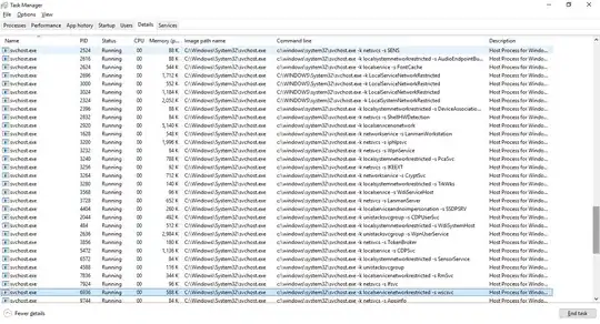 taskmanager screenshot of svchost processes