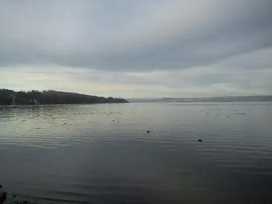 The img with meta data