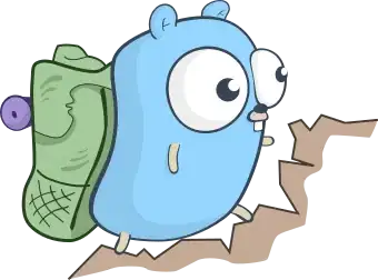 Network Adapter Options