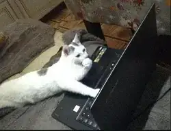 crappy image of BSOD error code: "0xc000021a"