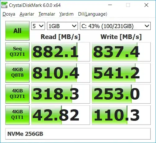 WDS250G2X0C  NVMe 256GB