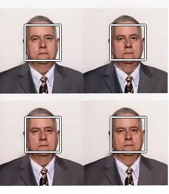 raw facedetect output