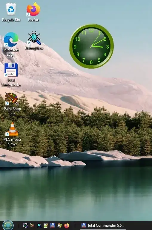 Adobe Flash running on Windows 11