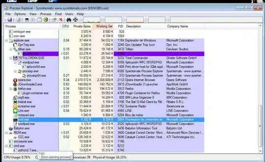 Process Explorer not detecting full command line of Python process