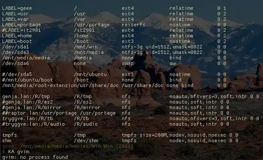 Remote desktop connection manager