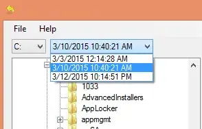 Shadow explorer date selector