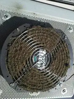 Side Fan of the case