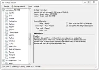 svchost viewer screenshot