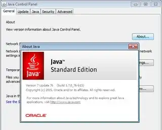 Java version from Java Control Panel